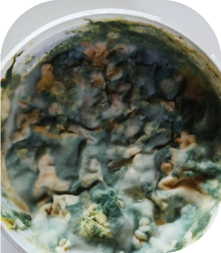 Tips 3 kain pel bucket